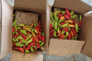 cocainepeppers